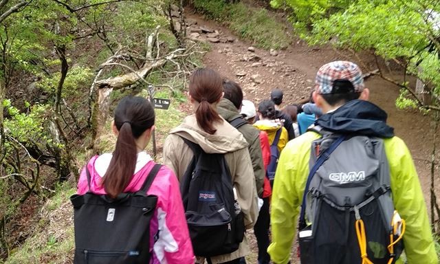 大山ハイキング