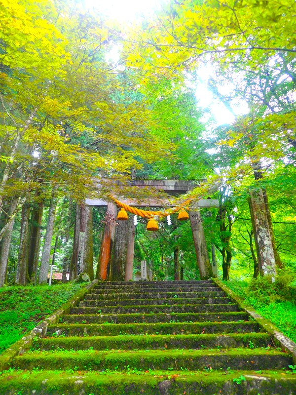 第46弾は郡上ride