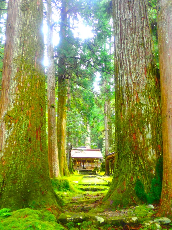 第46弾は郡上ride