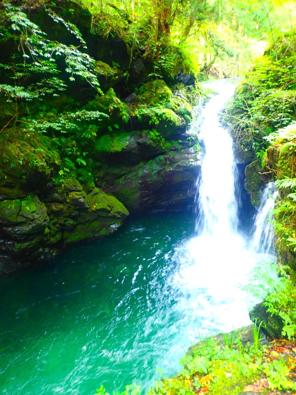 第46弾は郡上ride