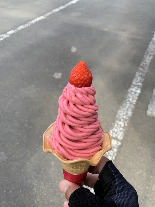 ボンボンベリーも