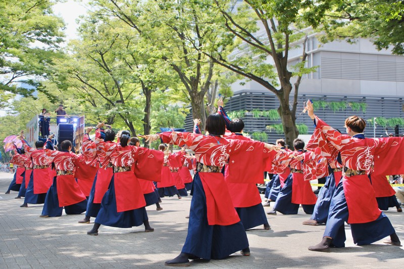 個性豊かな仲間がたくさん