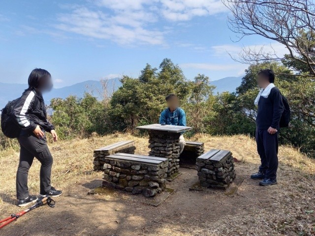 岩屋山⛰️セリバオウレン☘️