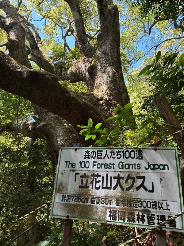 立花山⛰️