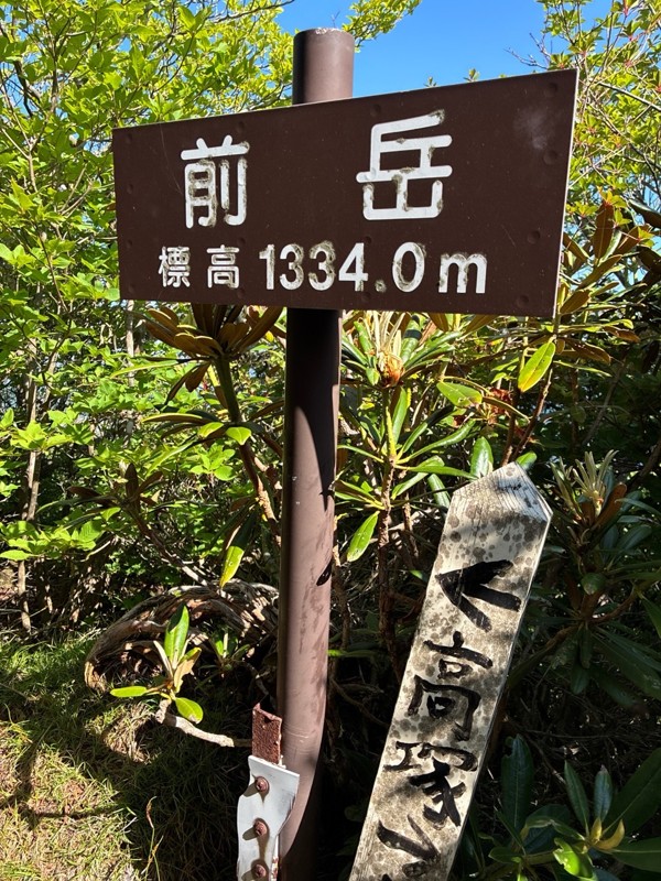 高塚山⛰️ミヤマキリシマ🌺