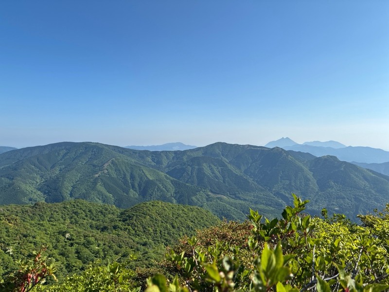 高塚山⛰️ミヤマキリシマ🌺