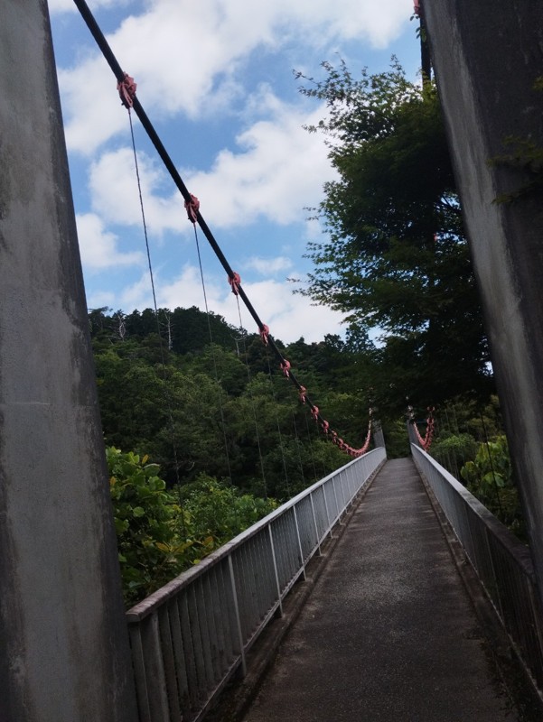 油山⛰️油山牧場🐄