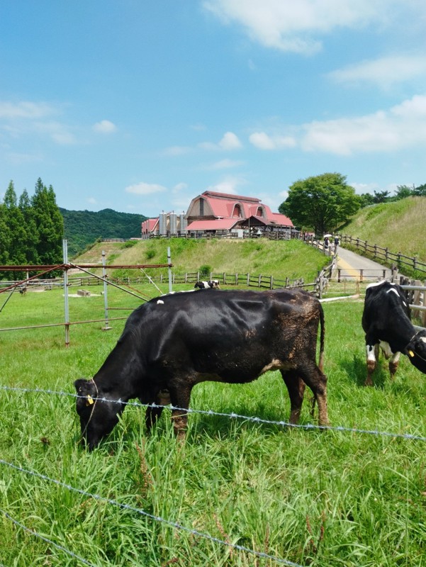 油山⛰️油山牧場🐄