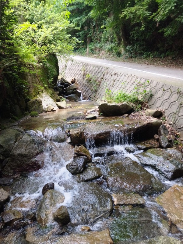 基山⛰️本福寺寺カフェ☕