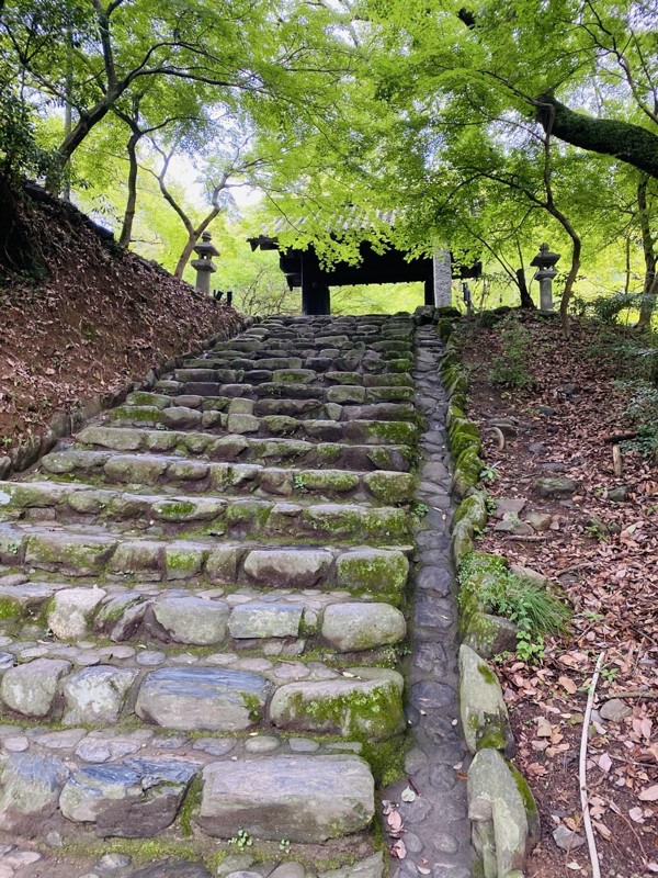 大平山⛰️黒門茶屋☕