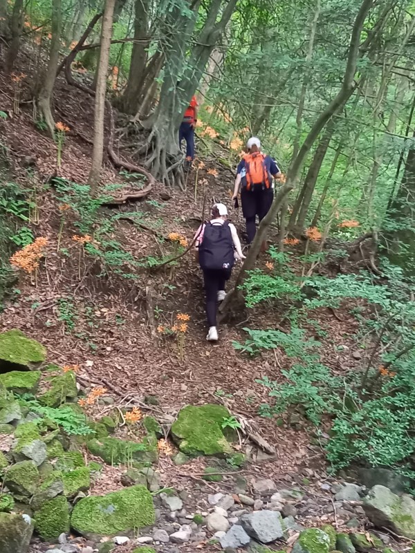 矢護山⛰️ついんすたー🐄