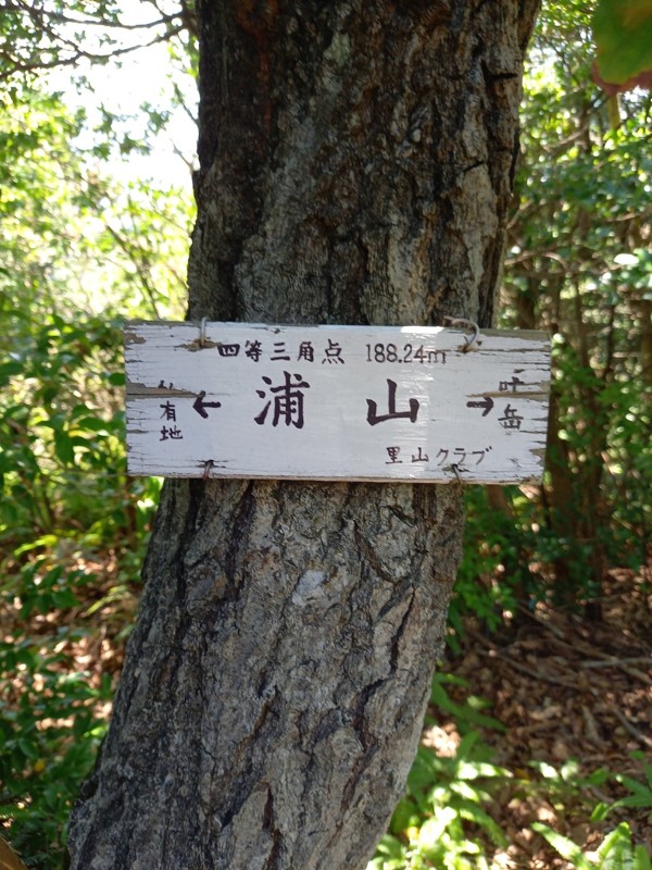 叶岳⛰️しあわせ駅☕