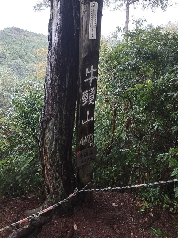 牛頸山⛰️むさしの森珈琲☕