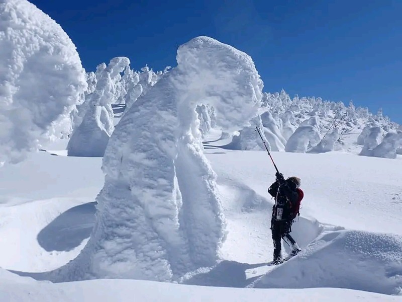 エイリアンのようなモンスター