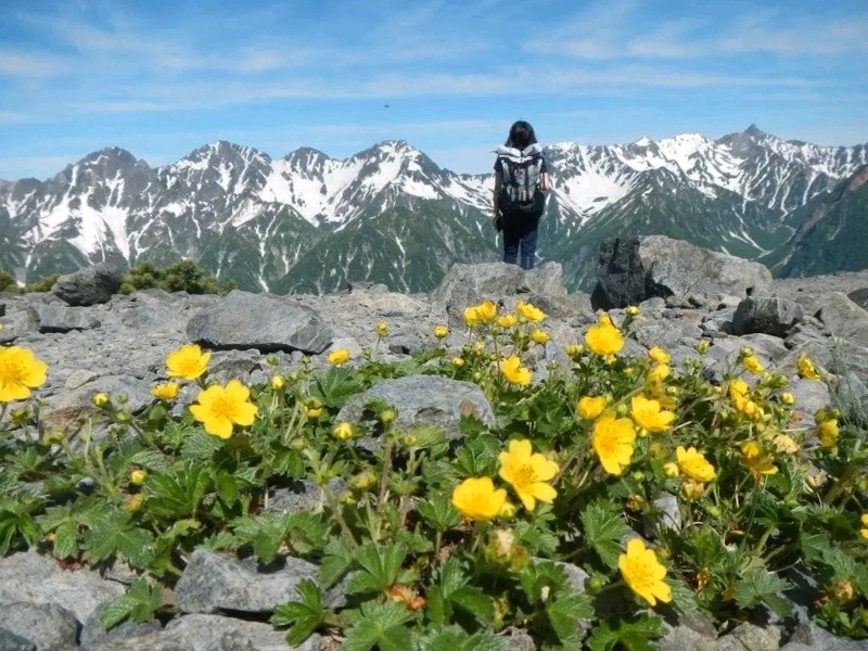蝶ヶ岳から槍穂の絶景