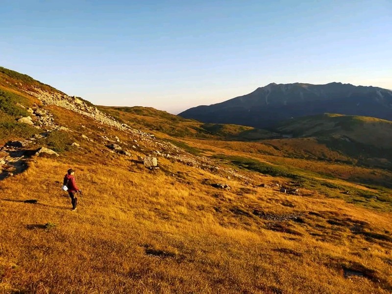 朝日に燃える草紅葉