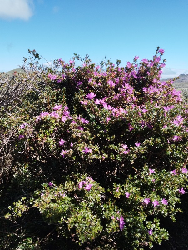 25.10.11 烏帽子岳⛰️