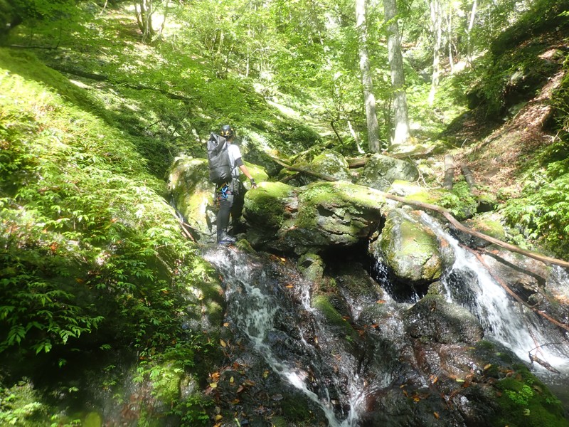 奥多摩/倉沢谷塩地谷