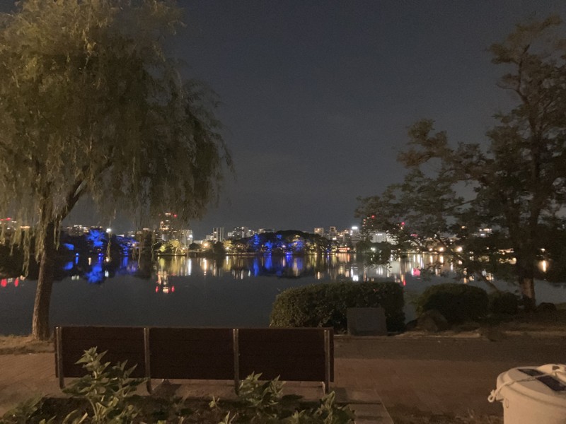 夜景が綺麗です✨