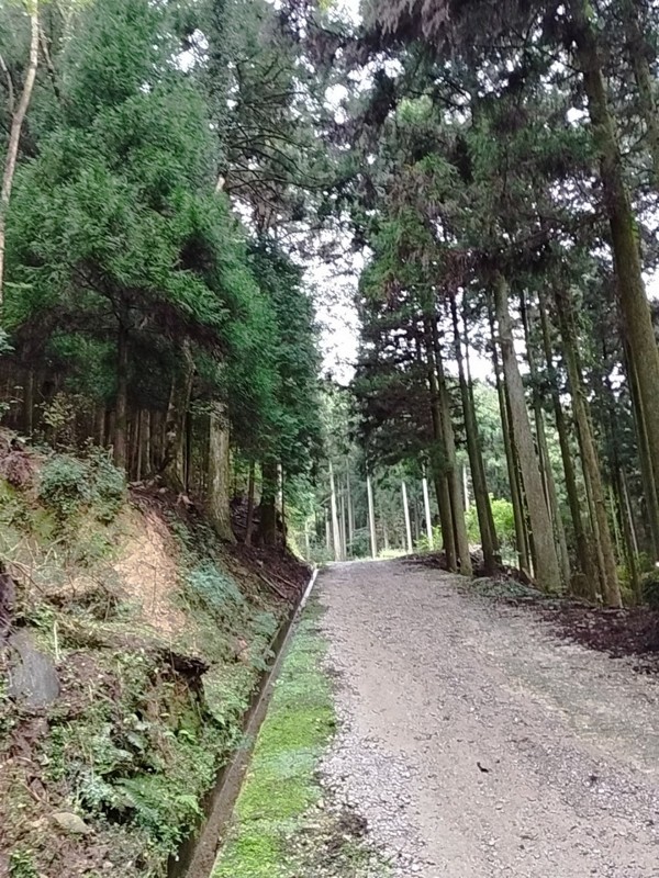 25.10.19 米ノ山⛰️