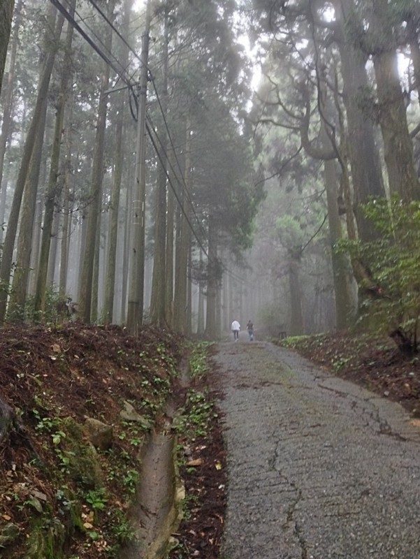 25.10.19 米ノ山⛰️