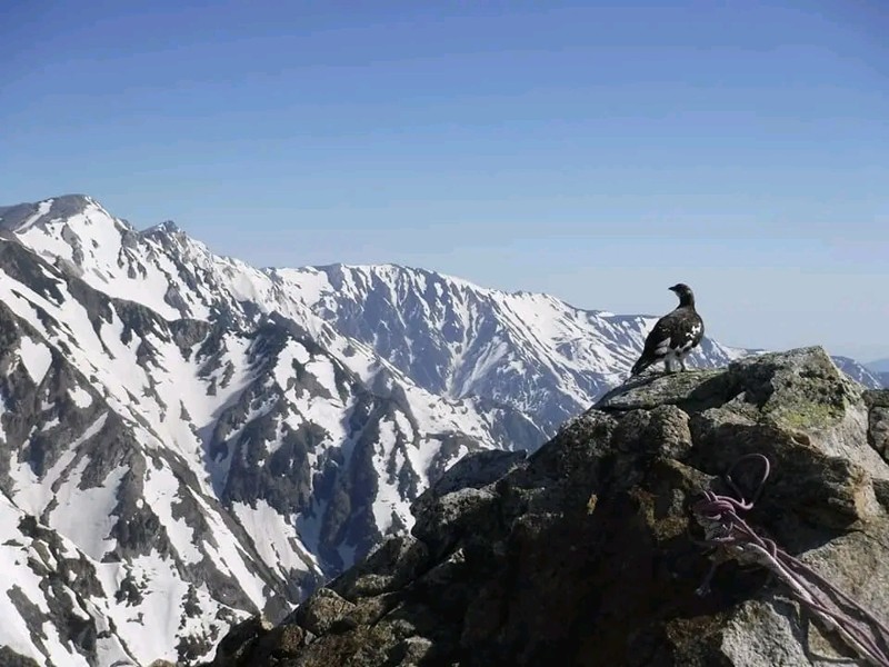 梅雨前の八方尾根