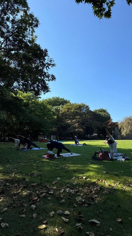 緑の森公園土日朝パークヨガ