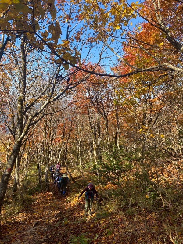 武奈ヶ岳25/11/08