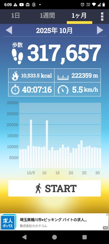 月間データ☺️