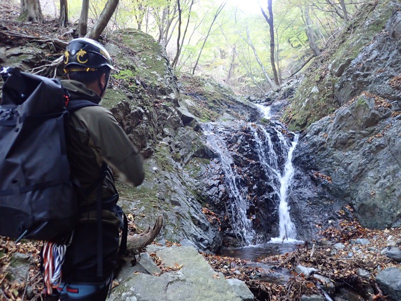 丹沢/新茅ノ沢202511