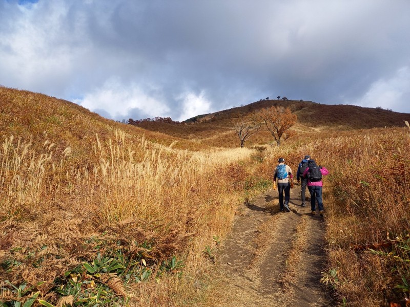 25.11.15 広島 深入山