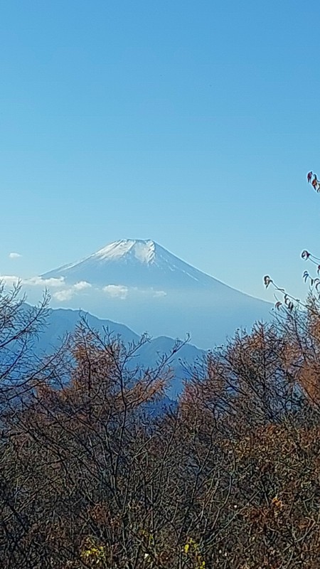 11/22 堪能しました