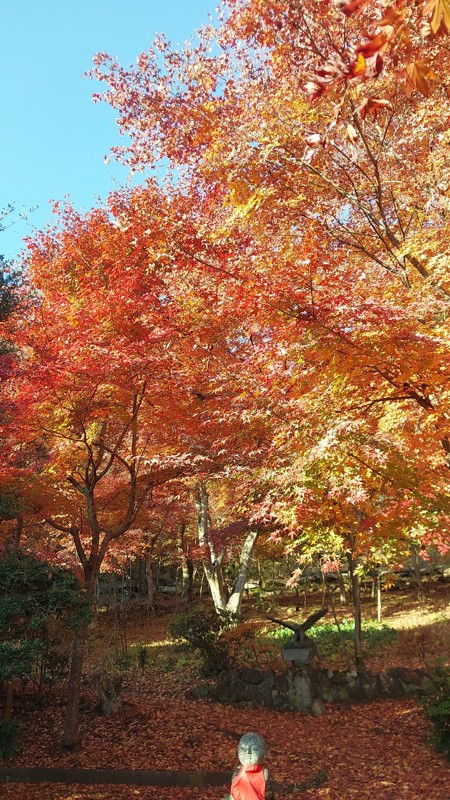 11/23 何ですかこれは！