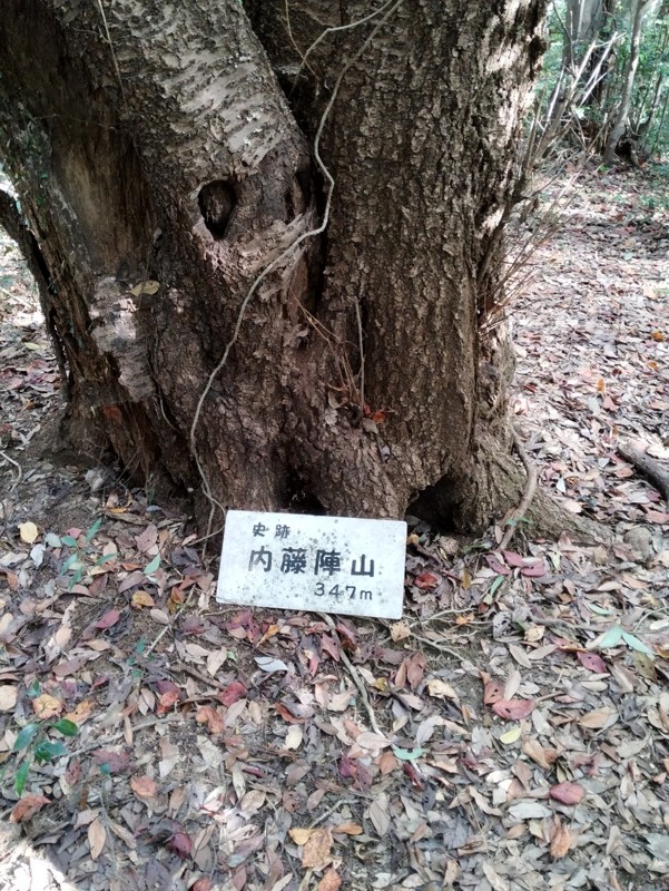 25.11.22 皿倉山⛰️