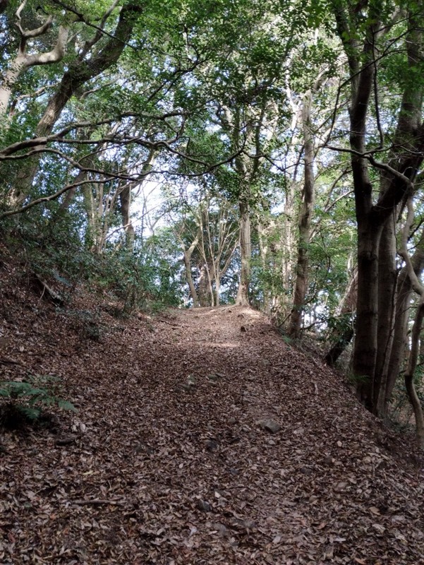 25.11.22 皿倉山⛰️