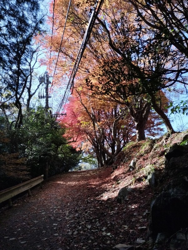 25.11.22 皿倉山⛰️