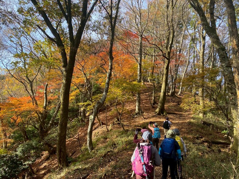 賤ヶ岳余ヶ湖余25/11/23