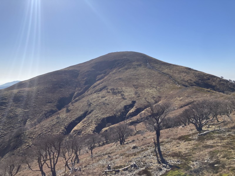 竜ヶ岳　2025.11.30 