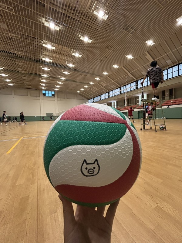 写真が全然ない。笑