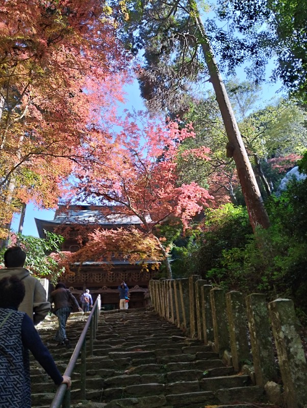 25.11.29🏸&🏐&山