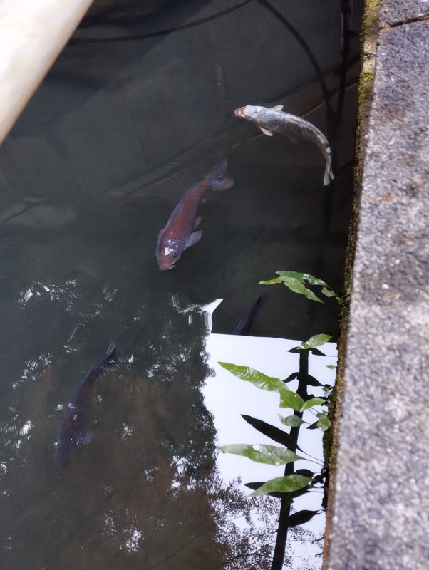 25.11.29🏸&🏐&山