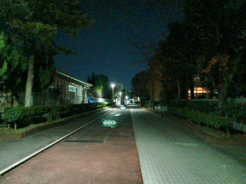 矢田中正門入ってここをまっすぐ