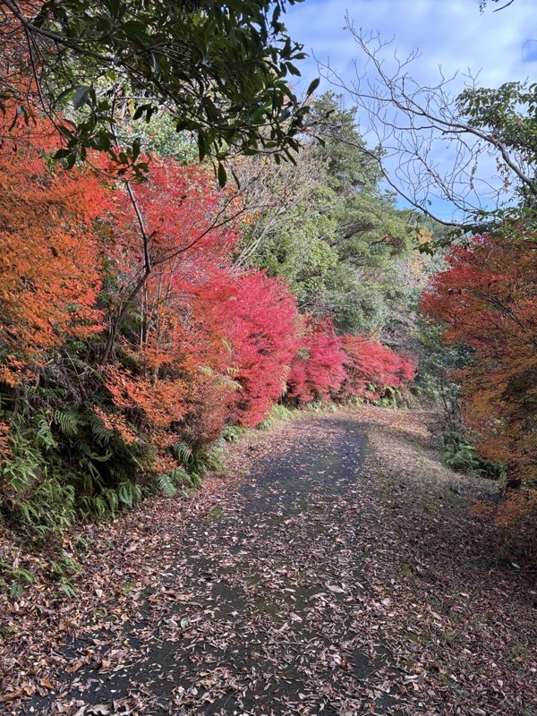 25.12.06 朝倉トレラン