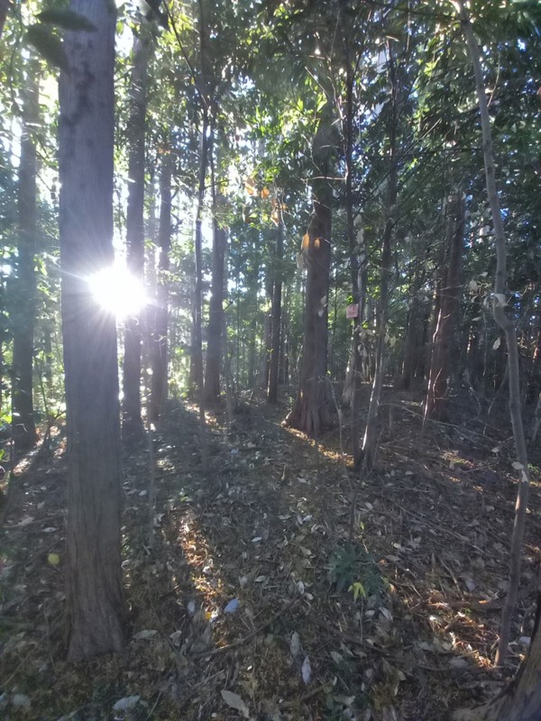 25.12.06 朝倉トレラン