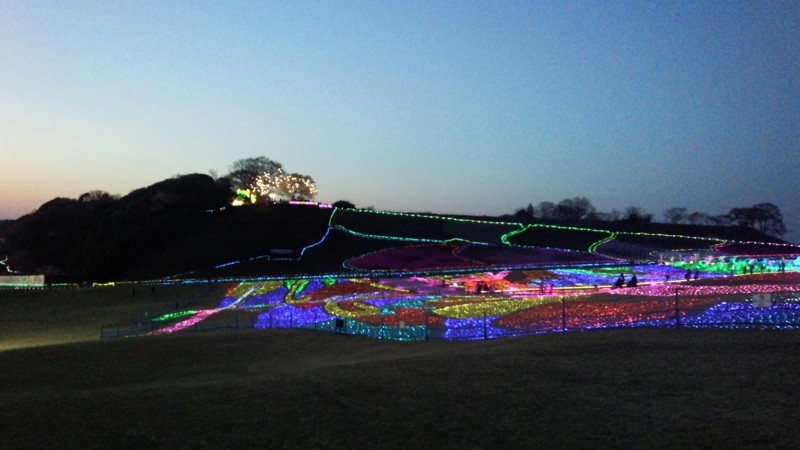 イルミネーション見に行きました