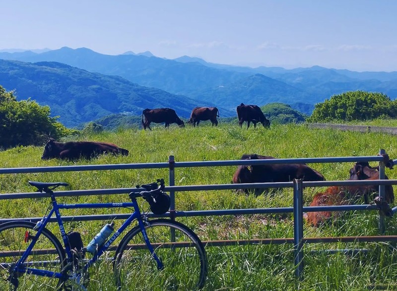 東秩父村 秩父高原牧場