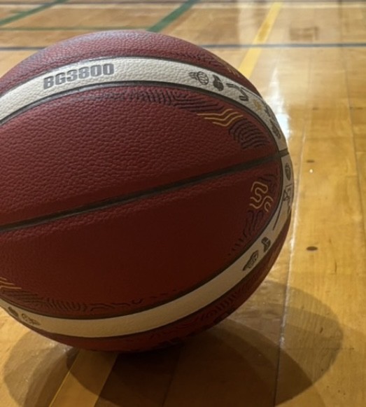 メンバー大募集！