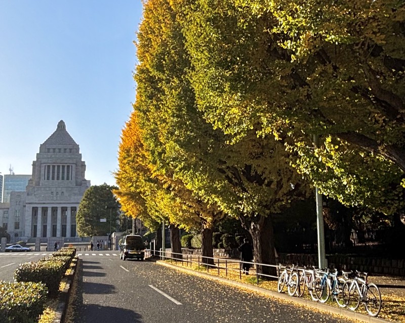 TOKYO紅葉巡りライド