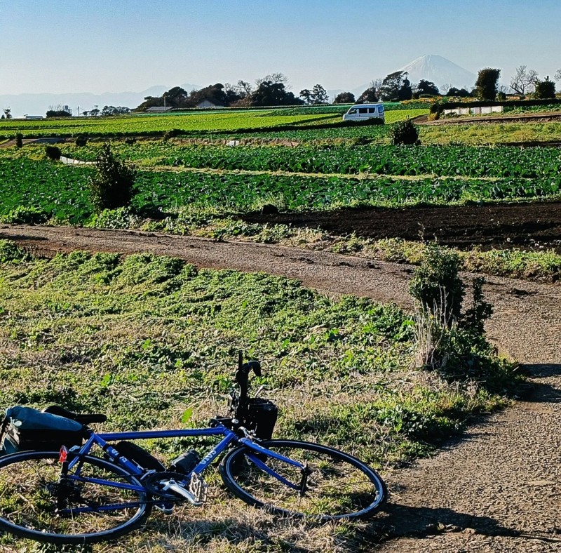 神奈川県 三浦半島