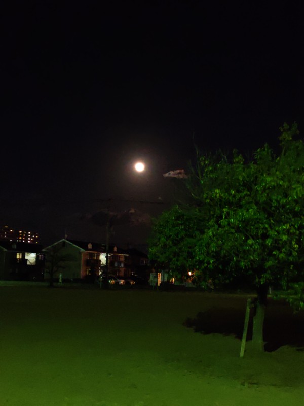 🌝2026年初の満月